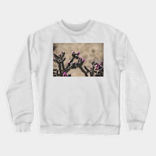 850_8539 Crewneck Sweatshirt